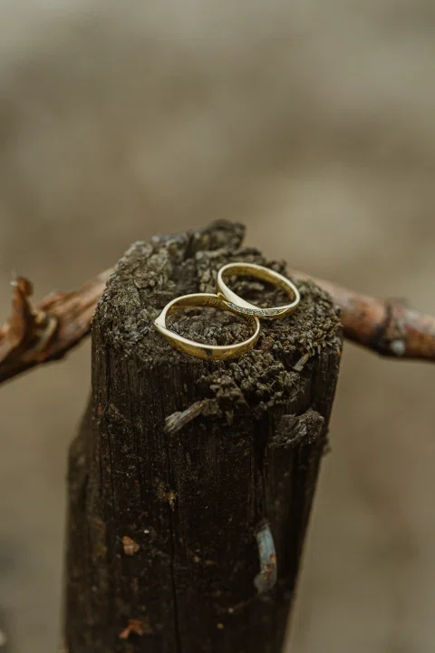 Dos anillos apoyados sobre un tocón de madera en primer plano.