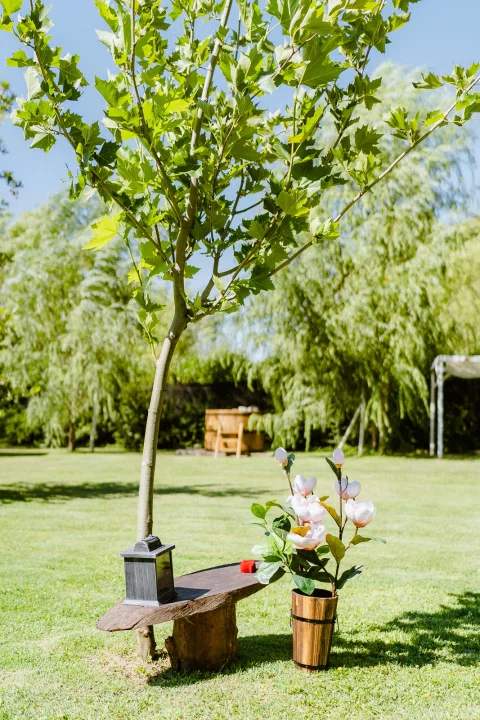 Árbol junto a una banca y un arreglo floral en maceta dentro del jardín de la ceremonia.