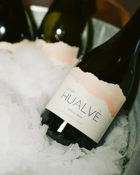 Primer plano de una botella Cerro Hualve sobre hielo.