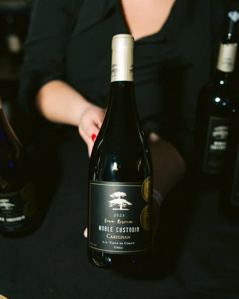 Botella de vino en primer plano frente a una persona vestida de negro.