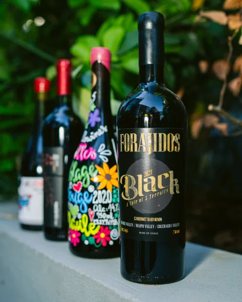 Botella de vino Forajidos en primer plano junto a otras botellas frente a follaje verde.