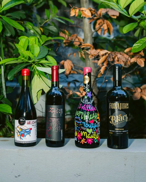 Cuatro botellas de vino con etiquetas distintas sobre un muro bajo, frente a plantas.