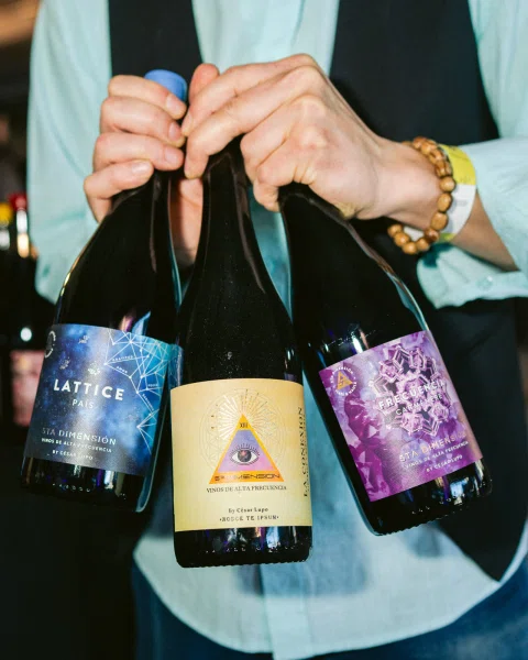 Persona sostiene tres botellas de vino oscuro con etiquetas de colores.