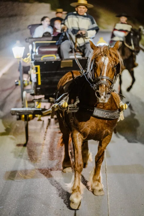 Caballo y carruaje vistos de frente durante la noche, con otro caballo y jinete detrás.