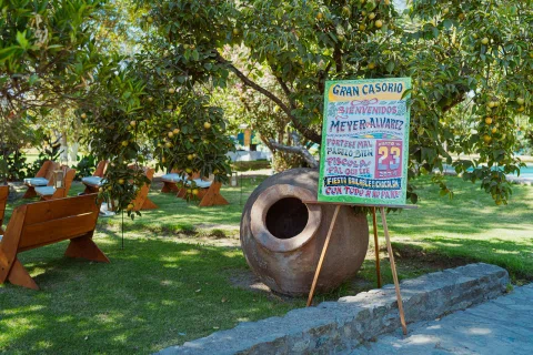 Cartel colorido sobre un caballete junto a una vasija grande en un jardín.