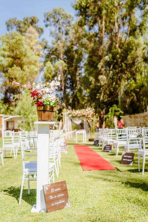Montaje de ceremonia en jardín con alfombra roja y sillas blancas a ambos lados.