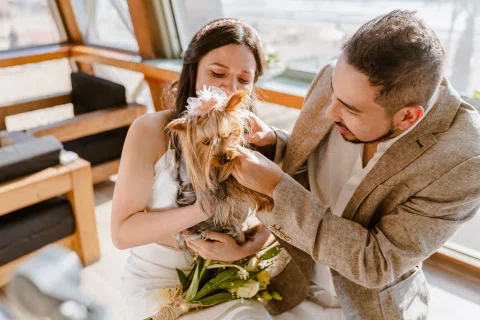 Hombre y mujer sentados acarician juntos a un perro pequeño.