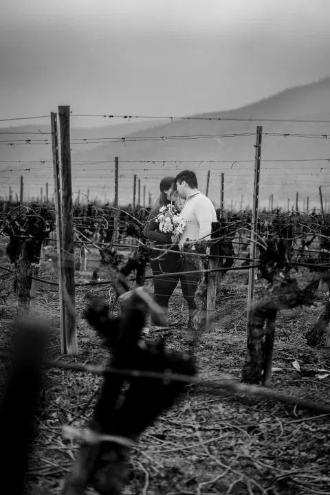 Hombre y mujer se besan entre hileras de viñas en una fotografía en blanco y negro.