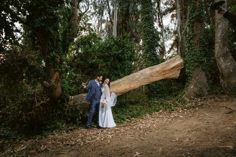 Hombre con traje azul y mujer con vestido blanco posan junto a un gran tronco caído entre árboles.