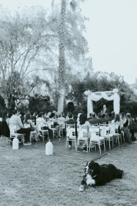 Fotografía en blanco y negro de personas reunidas frente a una estructura decorada, con un perro en primer plano.